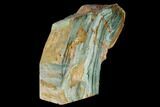 Polished, Gary Green (Larsonite) Petrified Wood - Oregon #181937-2
